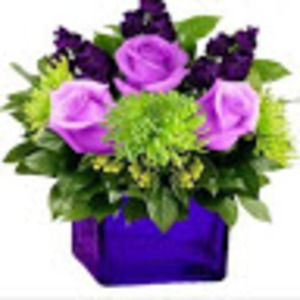 Meet your Posher, Laticia